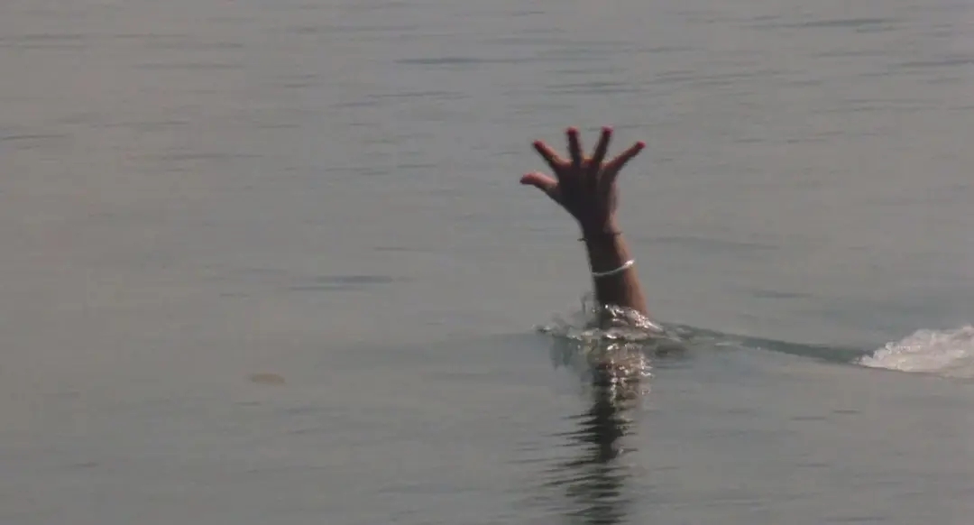 真蛇大战真实视频,拍人蛇大战用的是真蛇吗