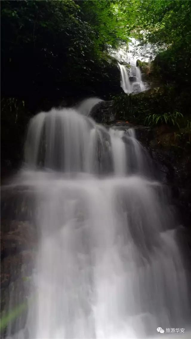春风十里不如你,我在华安等着您