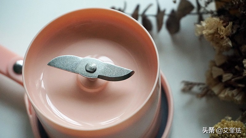 摩飞便携杯怎么榨甘蔗汁,摩飞榨果汁的杯怎么用