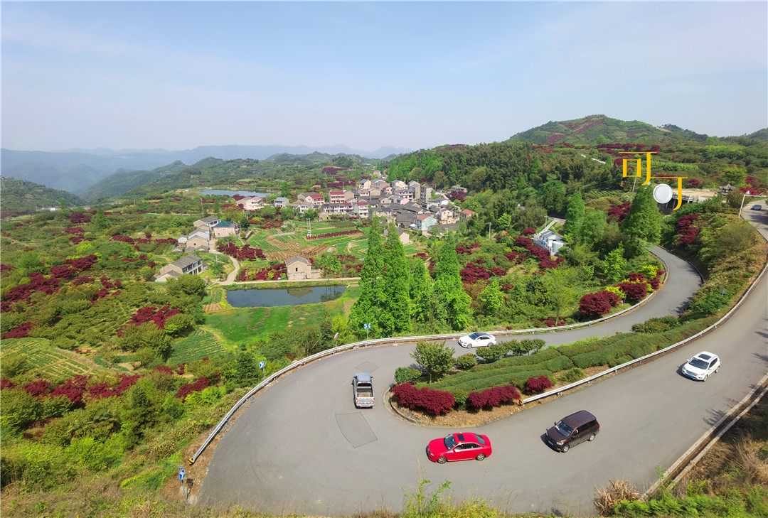 余姚四明山农家乐跟团游有吗,余姚市四明山高山布依农家乐