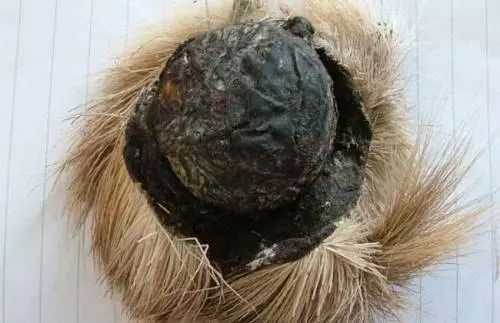 小金胶囊为什么孕妇禁用,小金胶囊孕妇禁用的原因