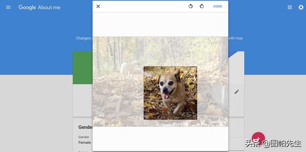 从零开始做youtube,如何从0到1打造视频号