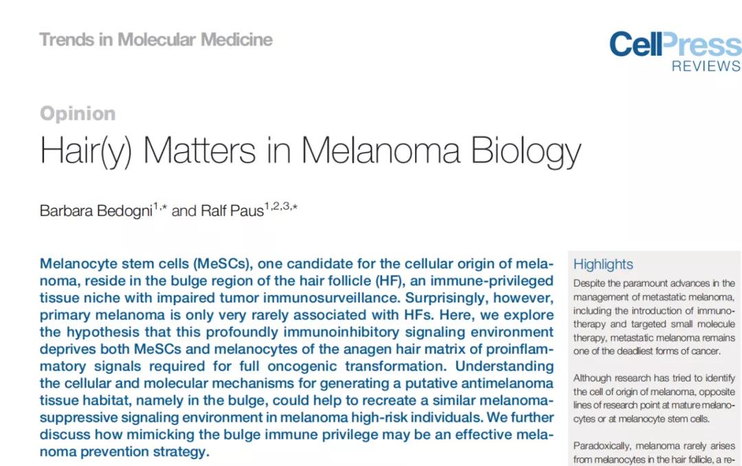 毛囊组织为何难得皮肤癌？“免疫赦免”阻止细胞癌变