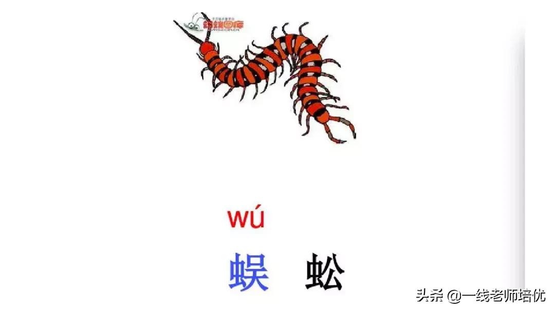 小学汉语拼音整体认读音节,小学汉语拼音整体认读音节视频