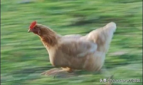 哈哈哈哈哈哈我笑到我妈把鞋塞我嘴里