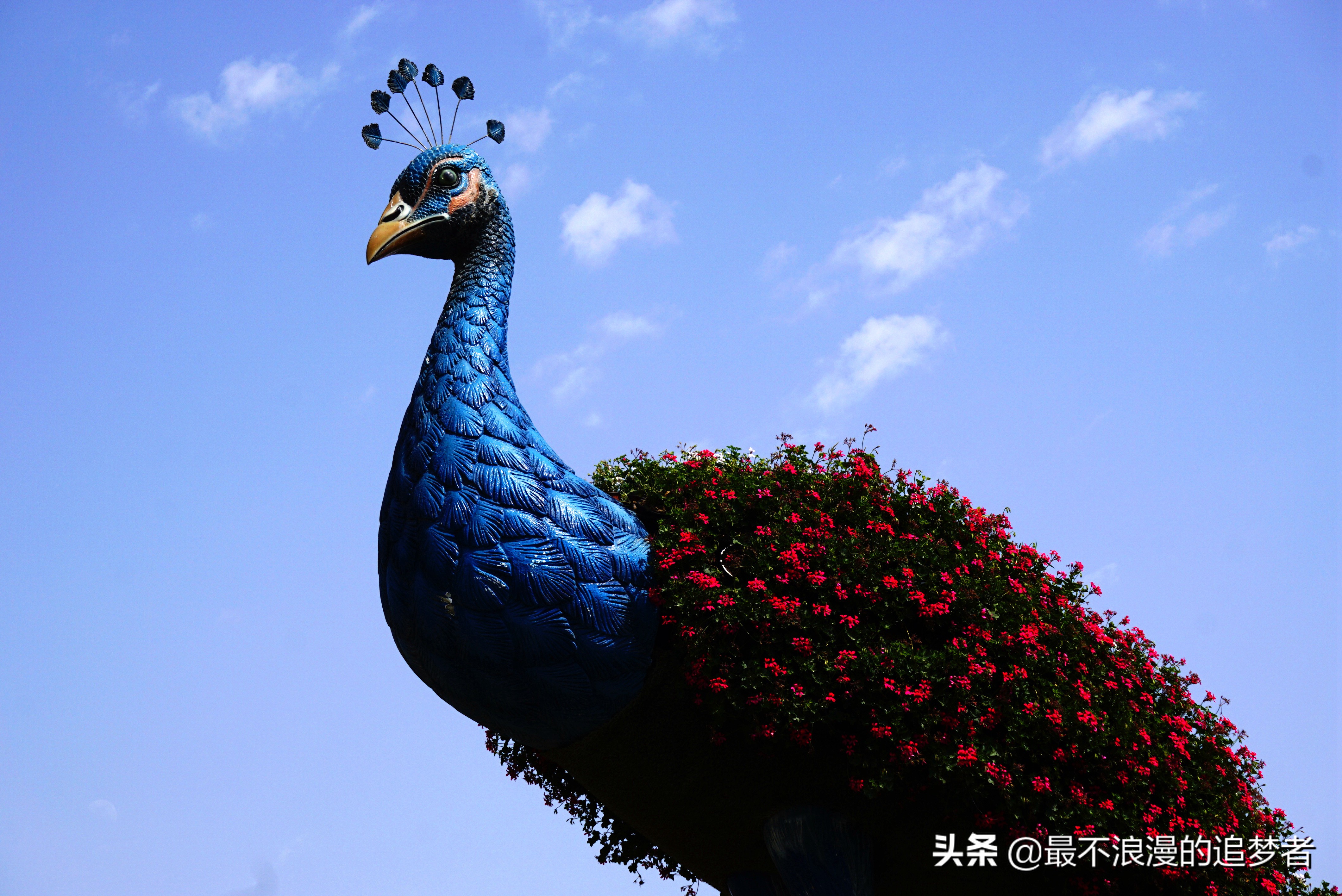 阿联酋迪拜的旅游感想,阿联酋迪拜旅游攻略