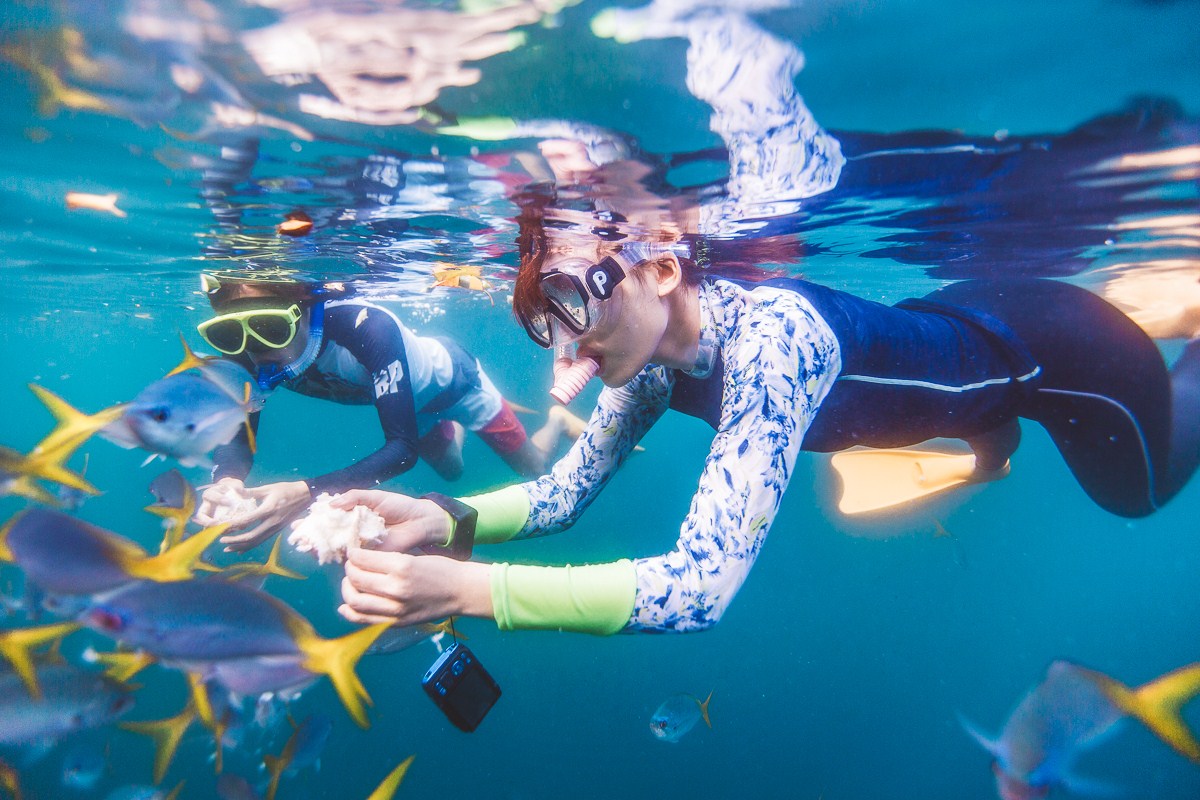 一定是特别的缘分——帕劳，再遇见「周若雪Patty」·上