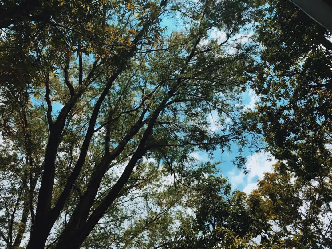 中国泰国风情景区,中国后花园泰国