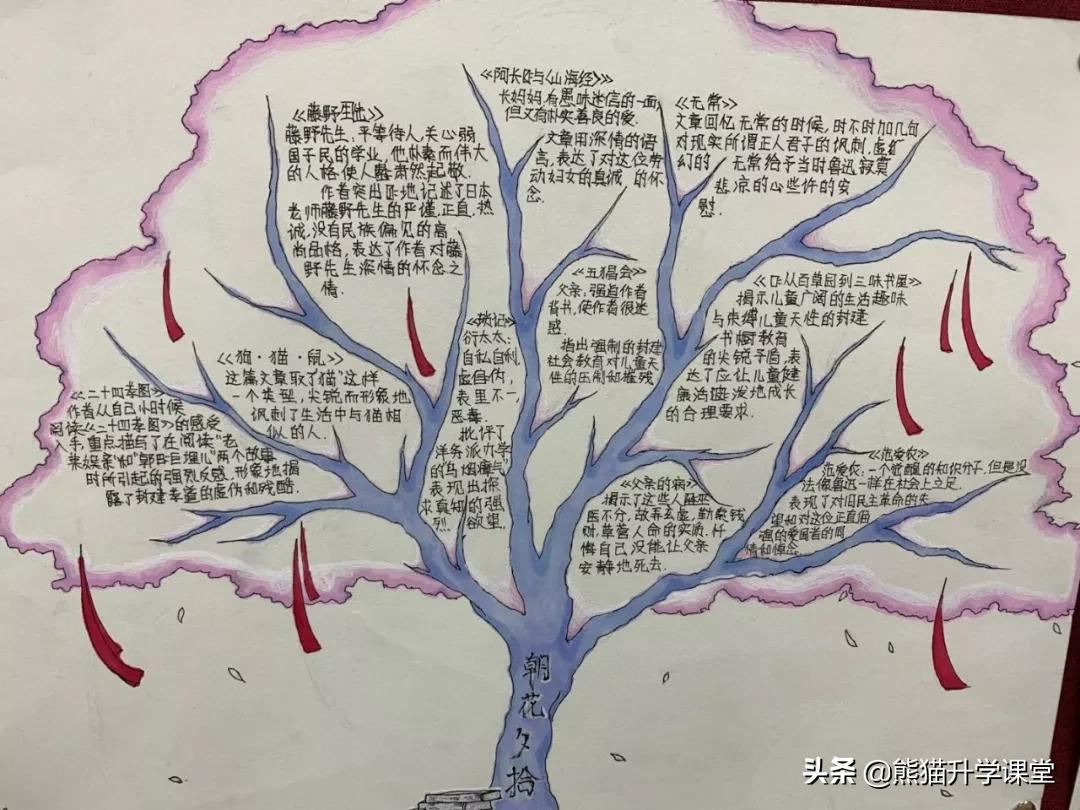 「中考招生」@高2023届新生，重庆十八中欢迎你