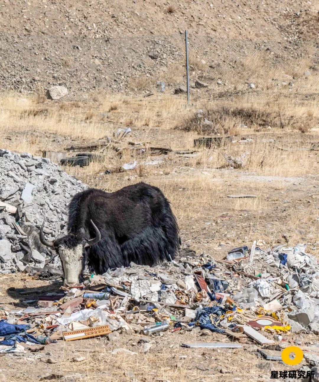 西藏你错过的风景,西藏路上的美景总是让你惊喜