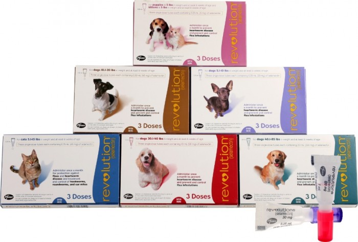 超可信跟大宠爱,超可信和大宠爱有什么区别