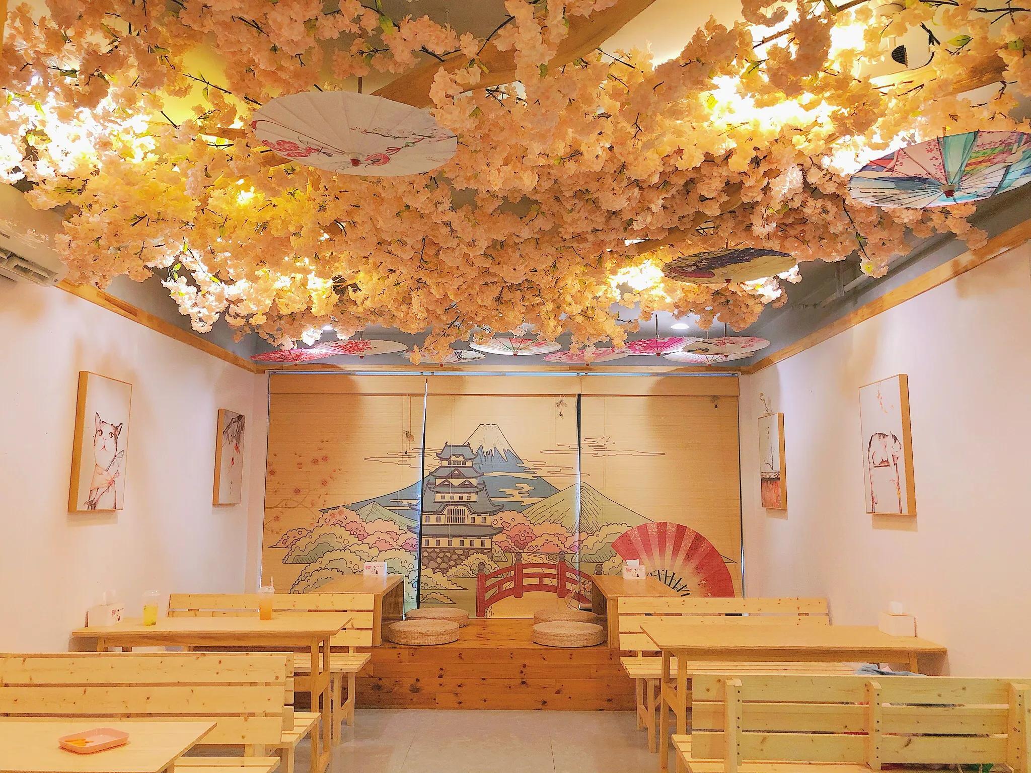 重庆探店｜换装撸猫撸羊驼撸龙猫，高萌预警