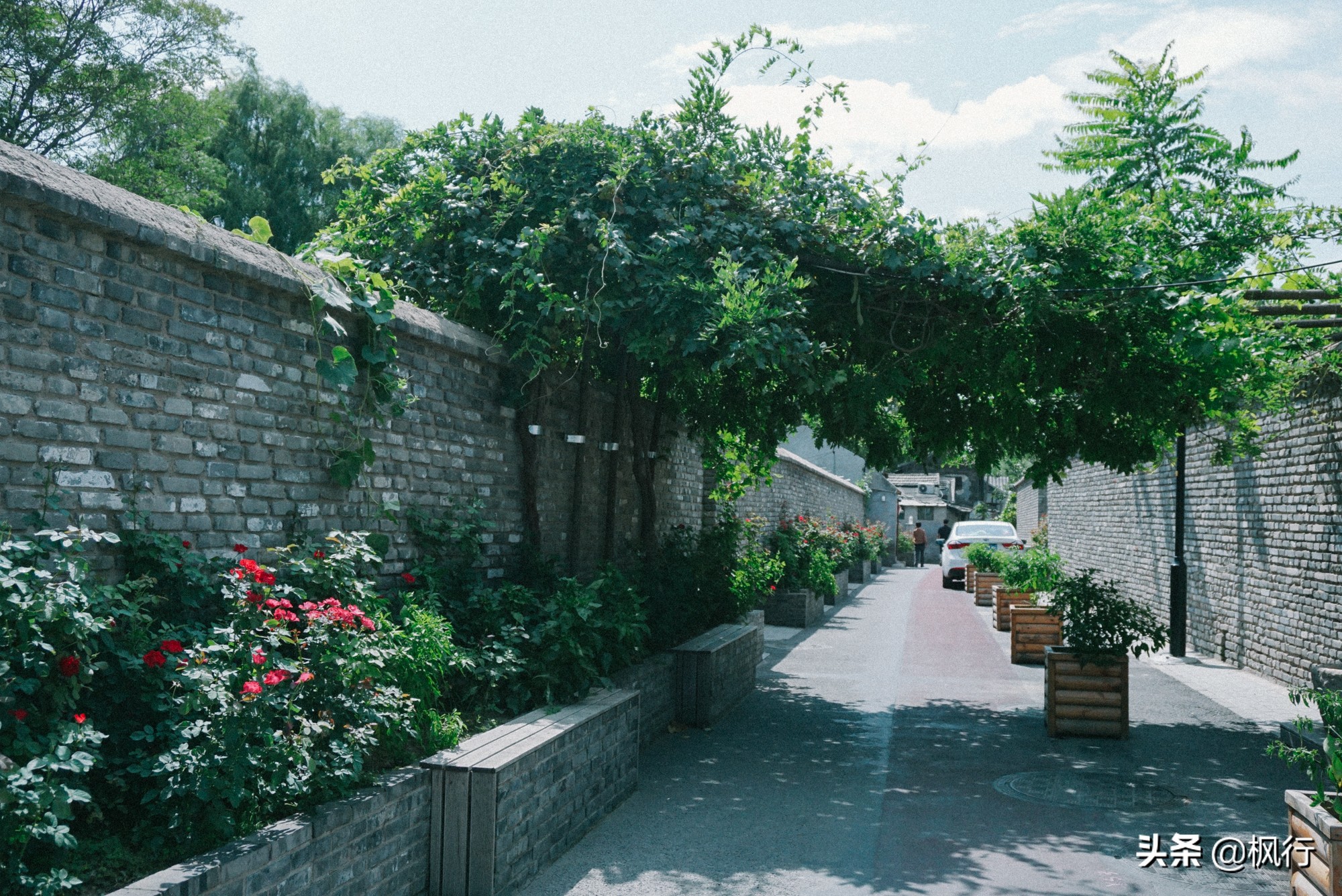 北京必去的咖啡店推荐,从什刹海到东单这5家个性咖啡馆