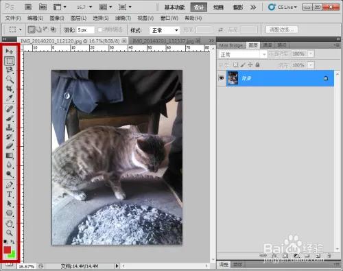 ps工具介绍大全,关于朴树的介绍