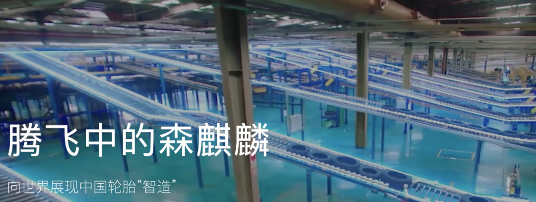 中国轮胎行业前十强,中国轮胎行业最大黑马