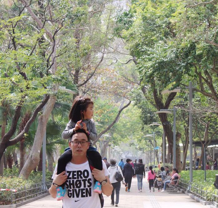 团队自驾游南澳岛旅游攻略,自驾广州长隆3天2夜亲子游攻略