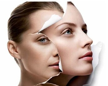 光子中微子区别,光子opt和mtt的区别