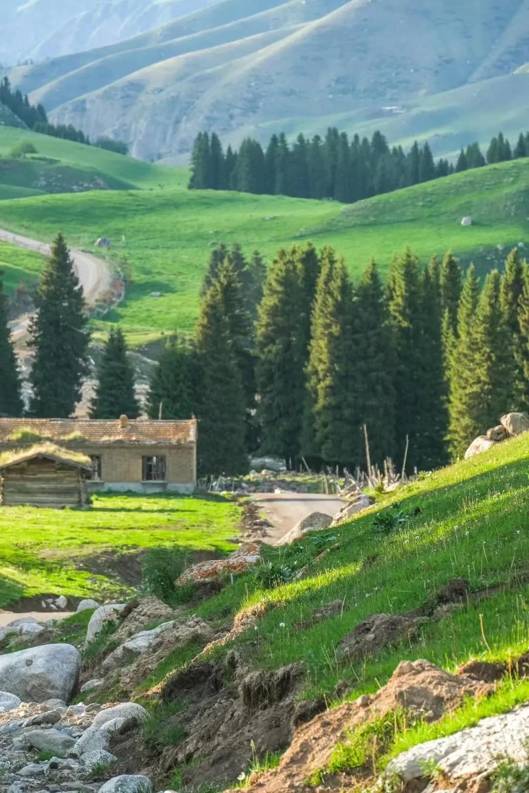 伊犁最美的50处绝色美景,伊犁最美的小众景点