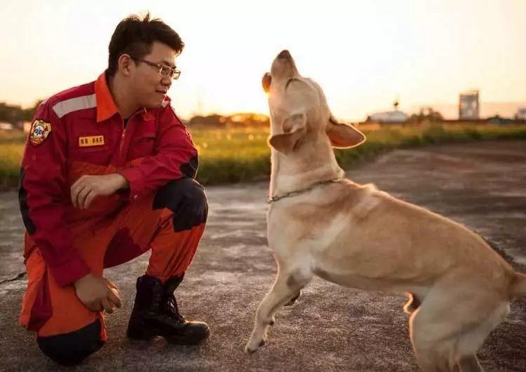 狗狗品种的分类你都了解吗,狗狗哪个品种当宠物狗更好