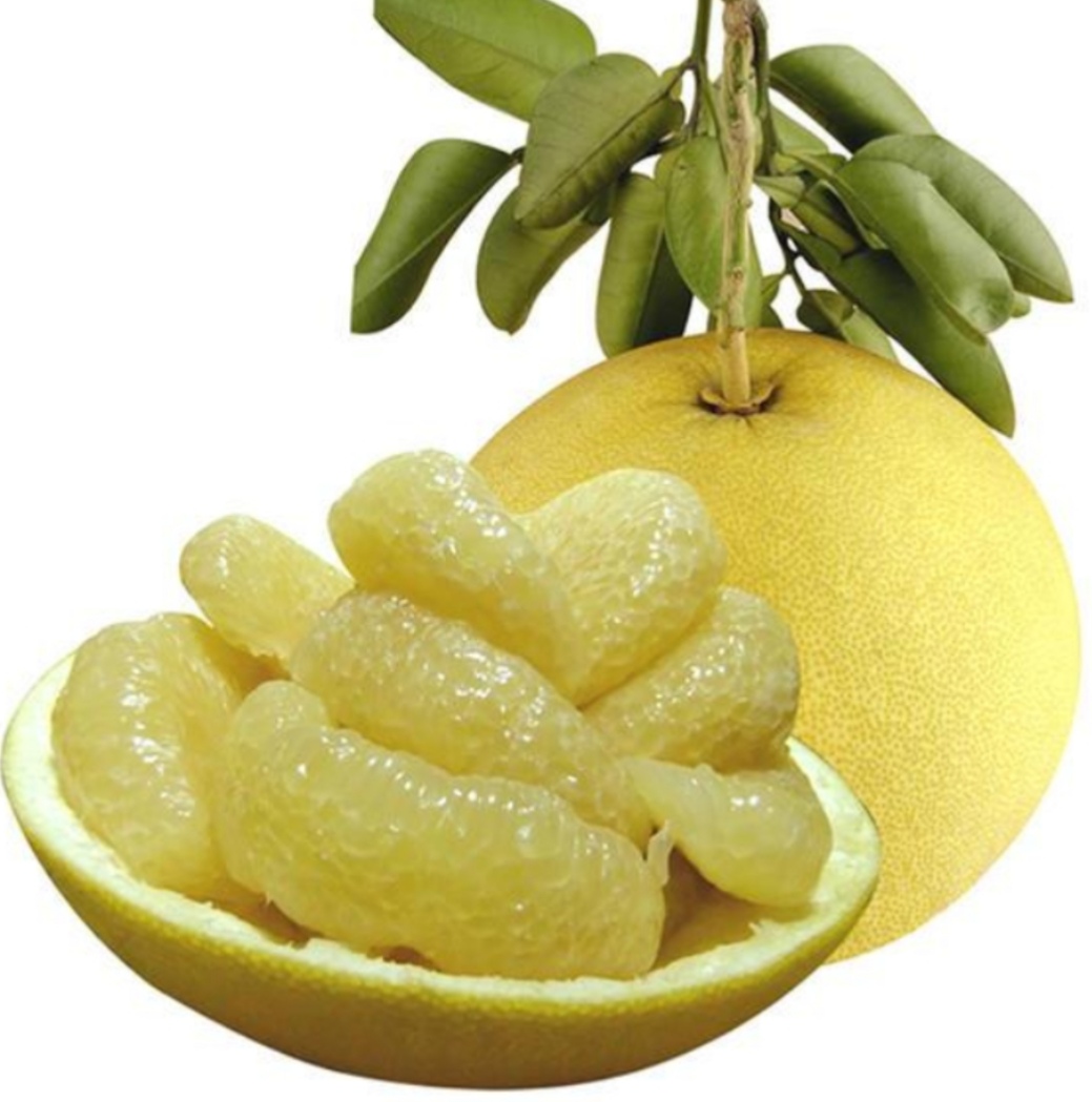 “百千桑梓地，亿万老家人”。浙江省—台州市—玉环市