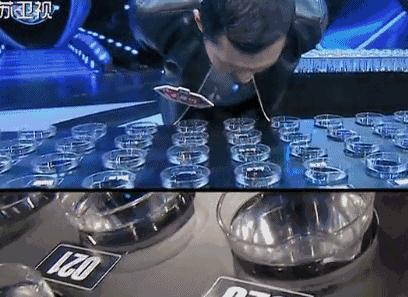 从全网黑到全网,被停播的良心国综