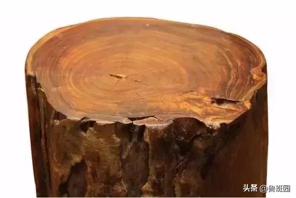 地板界中的爱马仕,红木地板与柚木