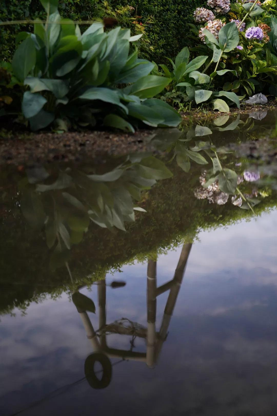 建一座完全不打药的生态花园，所有生命在这里和谐共处，值得收藏