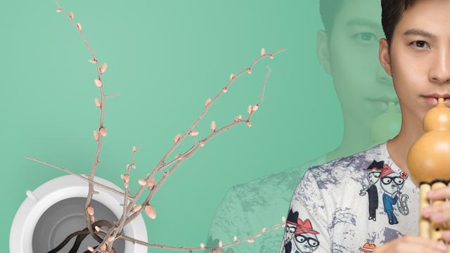 葫芦丝c调金孔雀轻轻跳曲谱讲解,葫芦丝初级金孔雀轻轻跳