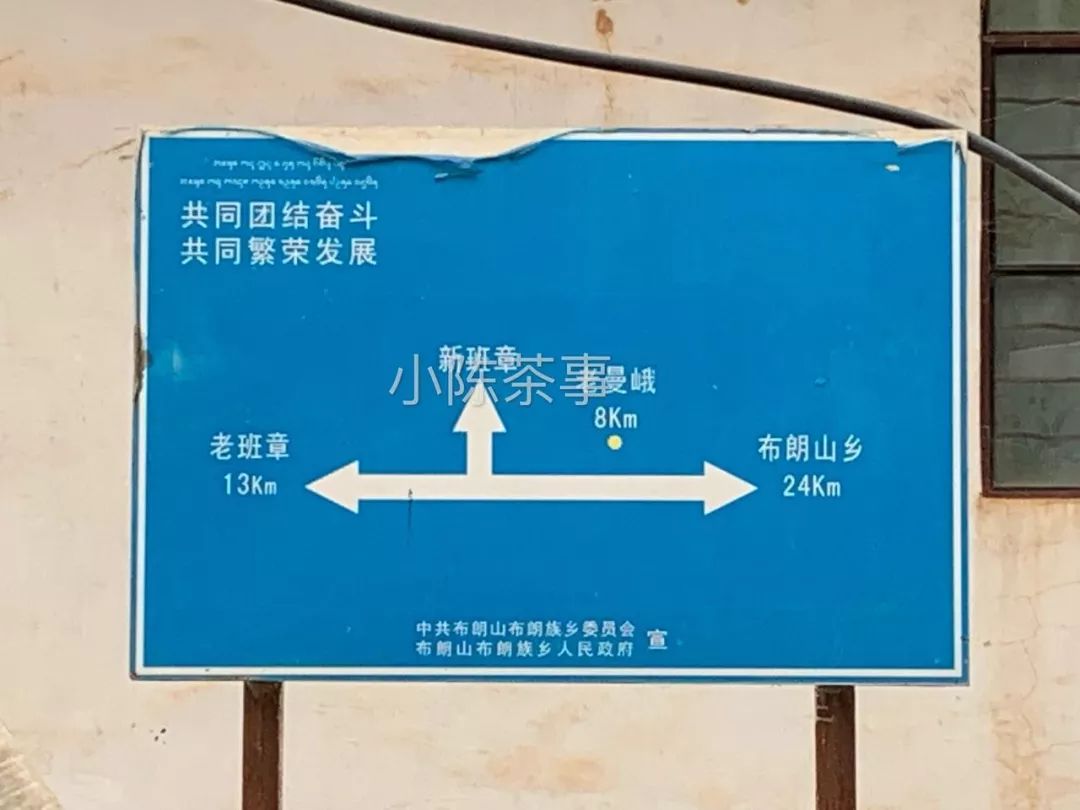 普洱茶古树茶小众山头,普洱茶古树茶与台地茶的区别在哪