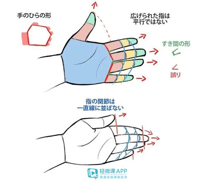 漫画人物的手怎么画教程,画漫画人物手部教程