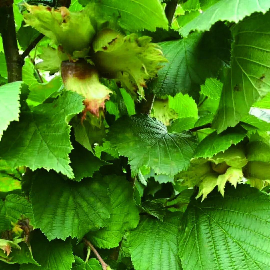 沈阳10月新闻,2018年12月11日沈阳新闻