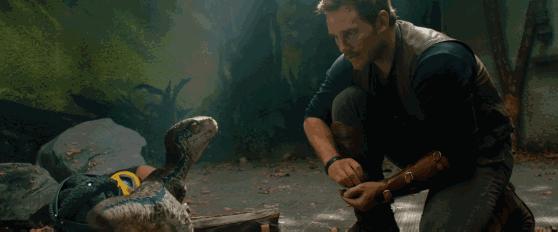 寻找侏罗纪世界中的火山岛，和“驯龙高手”一起拯救史前小短手！