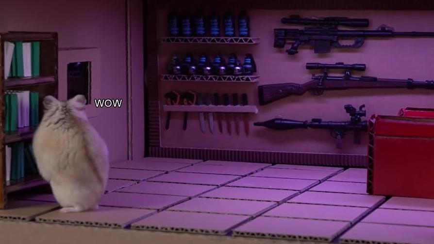 身价300万的仓鼠外网走红！住3层电梯豪宅，丰富娱乐，人不如鼠啊