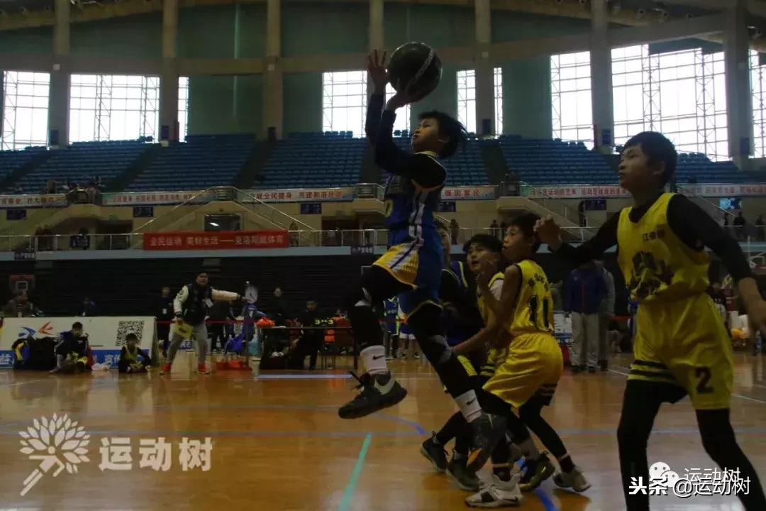 中国篮球名宿走进学校,中国篮球名宿26分