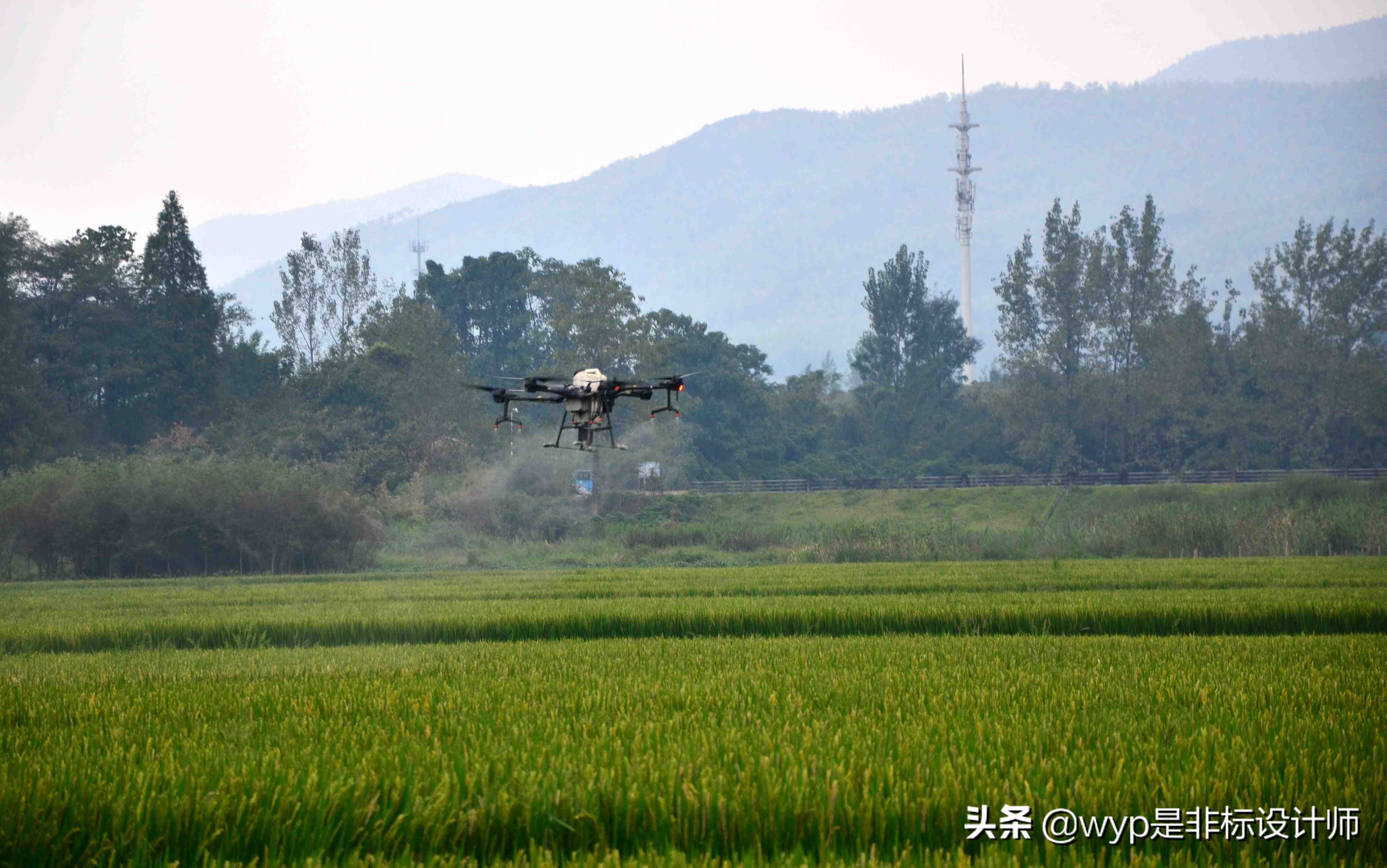 新型职业农民致富有高招,农村产业链致富新思路