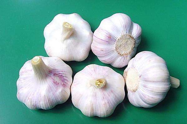 降血糖降血压降血脂的蔬菜和水果,妊娠期糖尿病降血糖吃什么蔬菜