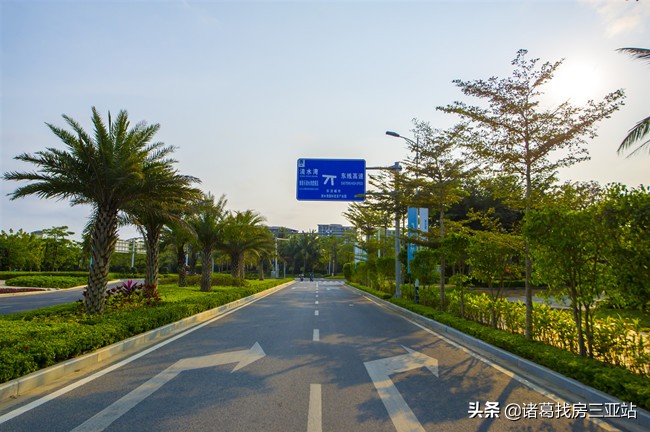 清水湾房地产优势,清水湾从哪里开始止于哪里