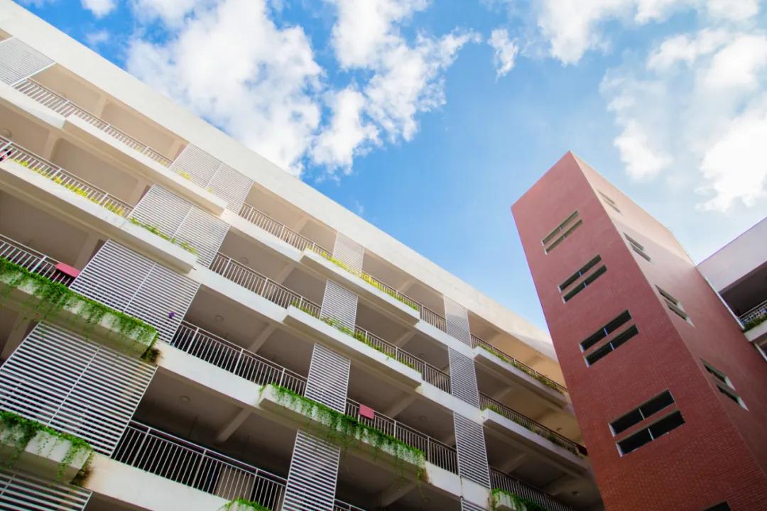 家门口的好学校,家门口的好学校视频