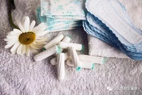 直男物品推荐,直男奇怪物品