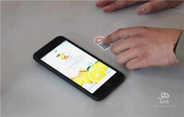 辨别真假褚橙的方法来了,买了褚橙和正要买褚橙的人一定要看过来