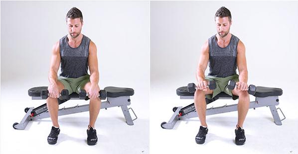 为什么说小臂的训练这么重要？我们应该如何提高小臂力量？