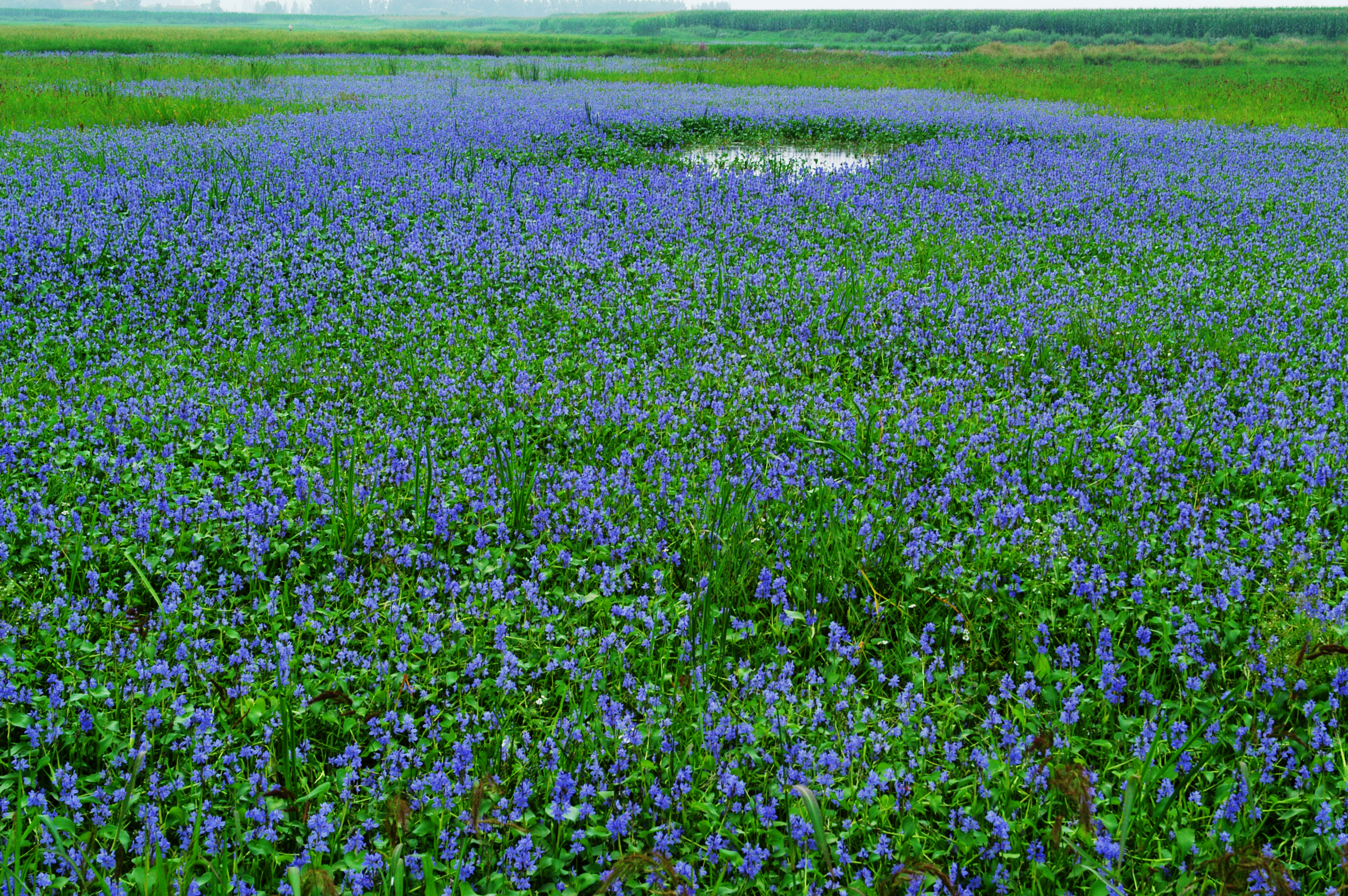 康熙一生巡访几次,康熙帝三次亲征的路线