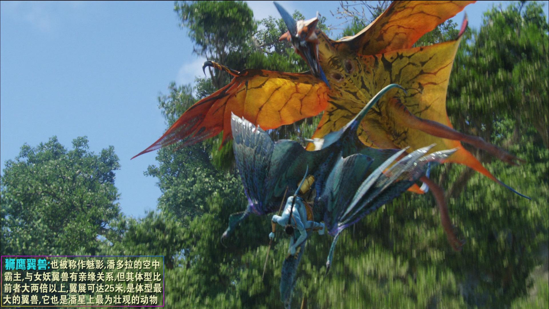 从未被超越完整版,从未被超越