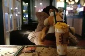 芒果实习生一般是在哪,芒果实习是什么