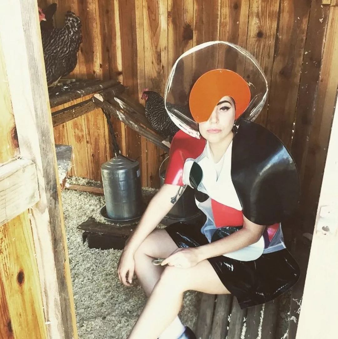 ladygaga没穿鞋,ladygaga养鸡