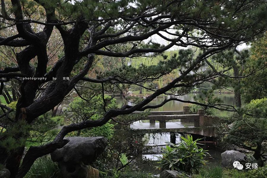 深扒：西湖中的西湖；多国元首下榻的540亩国宾馆的神秘面纱