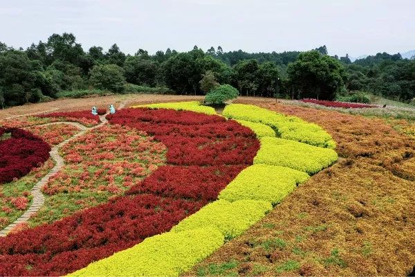 成都石象湖景区天气预报,成都石象湖的秋季