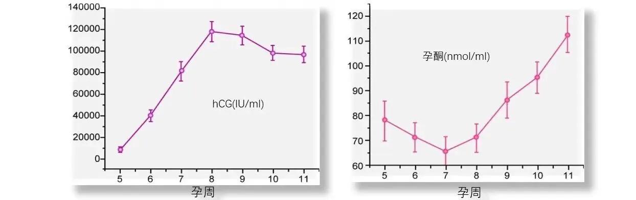 早孕指标,早孕三项指标同时下降没有卵黄囊