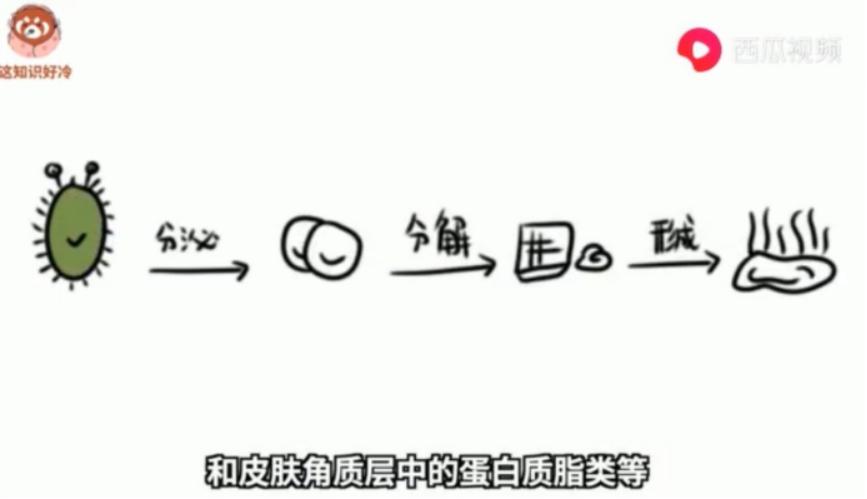 脚臭怎么办去除脚臭的26个小窍门,有啥办法解决脚臭味