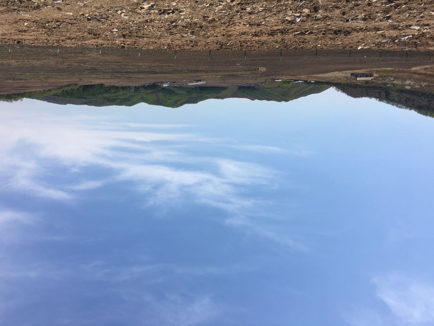 五一川西土拨鼠,五一节川西看土拨鼠